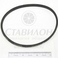 Ремень МОК-150/300 РТП Привода   к009606