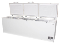 Ларь морозильный Aucma BD-818