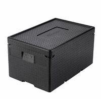 Термоконтейнер 48 л 600*400*335 мм. для гастроем. h200 мм. (-40°C до +110°C) MGProf Термоконтейнер 48 л 600*400*335 мм. для гастроем. h200 мм. (-40°C до +110°C) MGProf