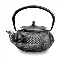 Чайник 300 мл  чугун   Xingtai Sanxia