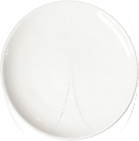 Тарелка мелкая 16 см     P.L. Proff Cuisine