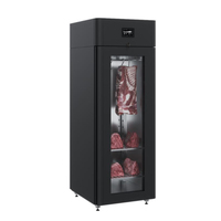 Шкаф для ферментации CS107 Meat black со стеклом 1 POLAIR -2…+30° С SPEC