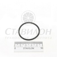 Кольцо уплотнительное  Fagor Для сливной пробки Ø41,41xØ36,17xØ2,62  к008935