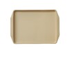 Поднос столовый 42х30 см бежевый  поверхность шагрень MG